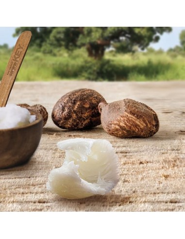 Huile Réparatrice Damage Repair Light...