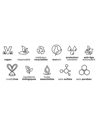 Routine Anti-Frizz - I.C.O.N