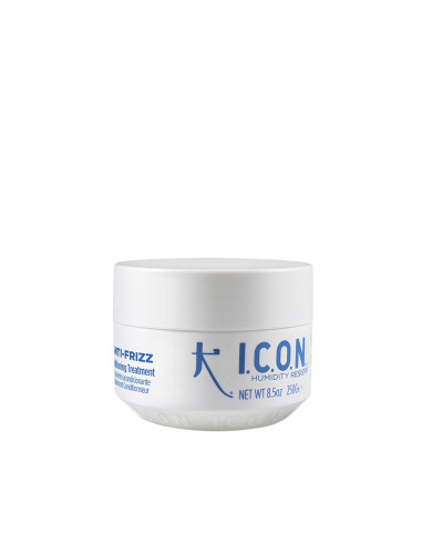 I.C.O.N Anti-Frizz - Traitement...