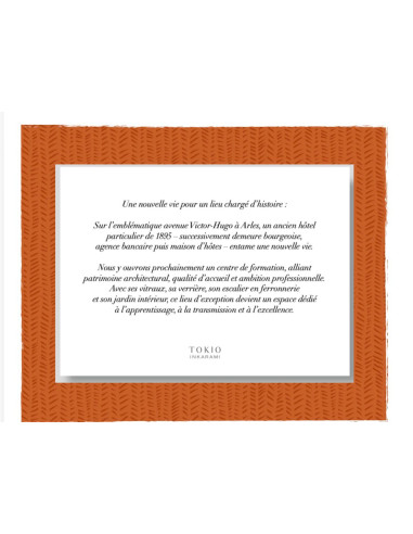 Coffret - Tokio Inkarami Platinum