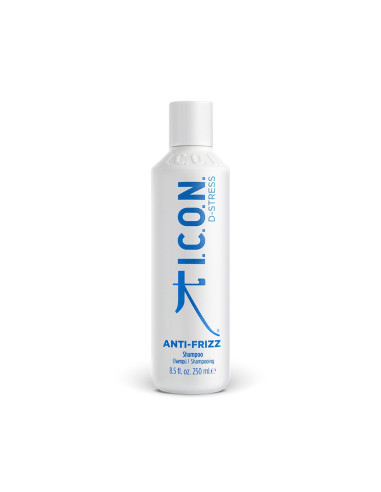 Routine Anti-Frizz - I.C.O.N