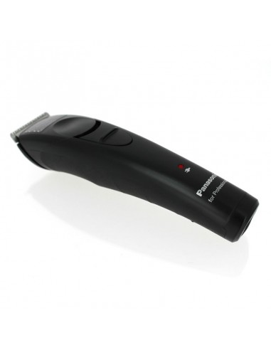 Panasonic ERGP21